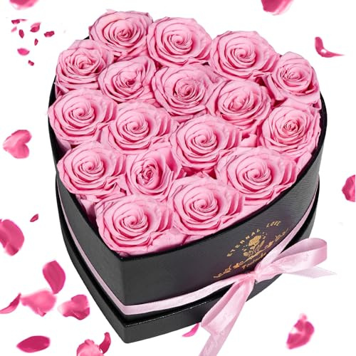 17 Piezas Regalos Día de la Madre para Mujer con Rosas Natural Preservadas - Flores Eternas en Caja Corazón, Rosa Preservada para Mujer Novia o Mama, Navidad, San Valentín, Aniversario, Cumpleaños