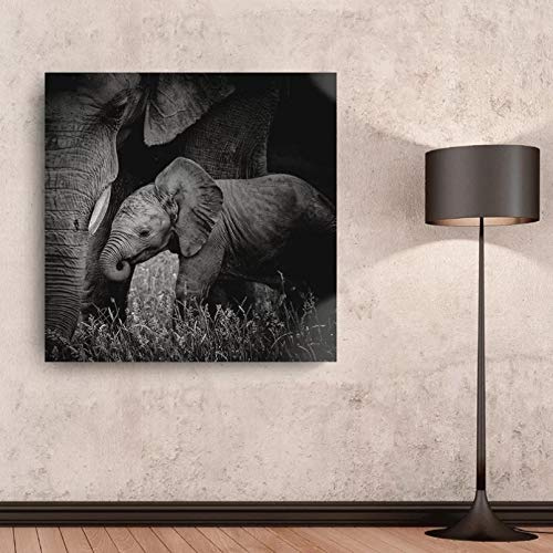 N/Ａ Impresión de Lienzo Impresiones hogar Elefante Animal decoración Bonita Lienzo Pintura Retro Arte de la Pared Imagen Negra Moderna para el Cartel de la Sala de Estar -40x40cm