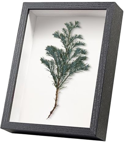 Cornici per foto 3D, 20 x 25 cm, profonde per riempire oggetti, in legno, da appendere alla parete o sulla scrivania, colore nero, 20 x 25 cm, profondità 3 cm