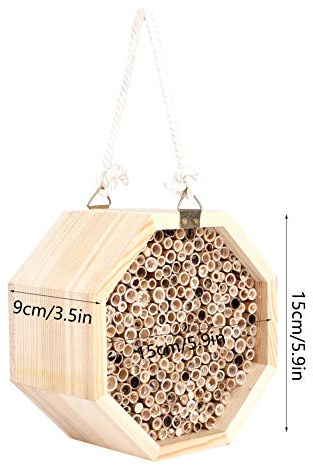 Dioche Mason Bee House Träinsekts- och Bihus, växt- och Insektsrum, Dekoration Av Hotell Fågelbo, Trädgårdsarbete, Lätt Att Observera Ekologi, Lämplig för Barns Utbildning