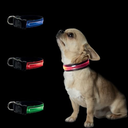 PETTY LED Hundhalsband - Opladdningsbar USB-halsband med spänne och säkerhetsknapp för små, medelstora och stora hundar (XS Röd)