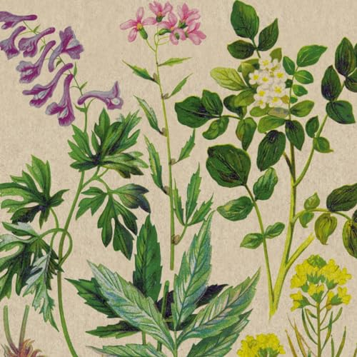 25 nachhaltige Servietten aus Recycling-Papier Blumen Natürliche Botanik als Tischdeko. Papierservietten mit Motiv. Ökologisch nachhaltige Deko aus recyceltem Papier. 33x33cm
