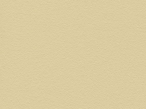 Volvox Espressivo Lehmfarbe - Wandfarbe matt - hohe Deckkraft - streichfertige Naturfarbe PG B acapulco gold 2,5 L