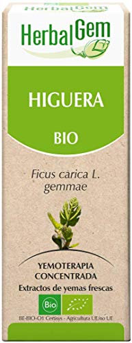HERBALGEM - Macerado Madre - Higuera Orgánica - Suplemento Alimenticio Concentrado de Yemoterapia - Extracto de brotes Frescos - Para la Digestión - Vegano - Spray 15ml