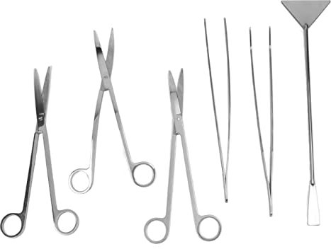 Ciseaux D'aquarium, Outils pour Plantes, Ensemble 6 en 1 en Acier Inoxydable, Soins Professionnels, Plantes, Nanocubes, Récipients en Verre, Ciseaux Incurvés de 25 Cm, Ciseaux