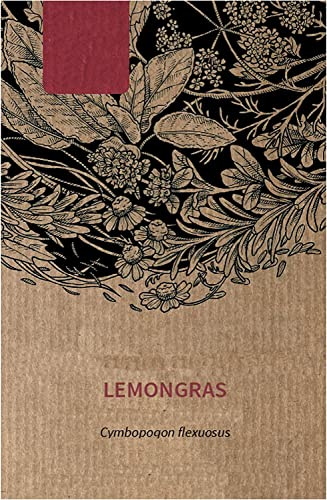 Semillas de Plantas de Lemon Grass Cymbopogon Citratus para Cultivar en Casa