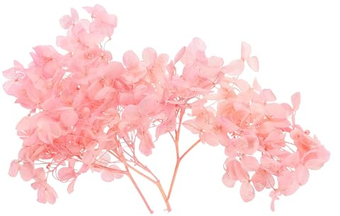 PATIKIL 10G Trockenblumen Deko Natürliche für DIY Hochzeit, Rosa | Getrocknete Hortensie, Getrocknete Blumen, Trockenblumenstrauß für Basteln Nagel Party