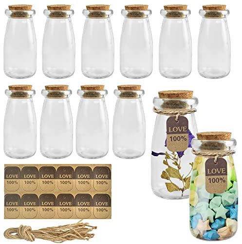 QINERSAW 12Pz Barattolini Vetro Piccoli con Tappo Sughero Contenitori Spezie da 100 ml Barattoli per Tè con Etichette e Spago, Sigillato Mini Bottiglia per Conservazione