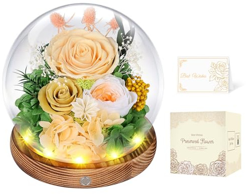 Rose im Glas Champagner mit LED, Infinity Rose aus echter Blume, für Frauen | Echte konservierte Rose, jahrelang haltbar; zur Hochzeit, zum Jahrestag, Geburtstag für Mama, Oma, Sie