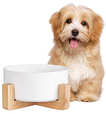 Futternapf Hund - Futternapf Katze mit Holz Ständer - Katzennapf Hundenapf Keramik Fressnapf für Wasser und Futter 850 ml