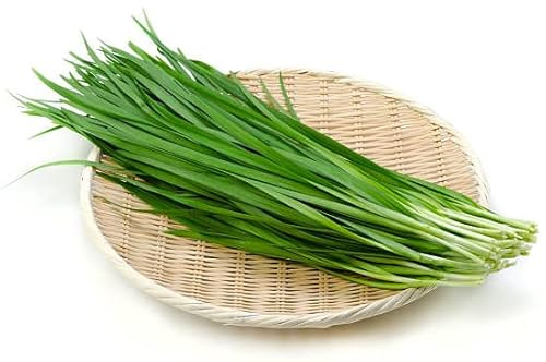 2026 Early Bird-Garlic Chive Seeds for Planting. Heirloom,Non-GMO.Vegetable Seeds for Planting, Herb Seed for Home Herb Garden or Indoor Garden,Hydroponic Pods Plant Seeds-韭菜Chinese Chive Seed,1g