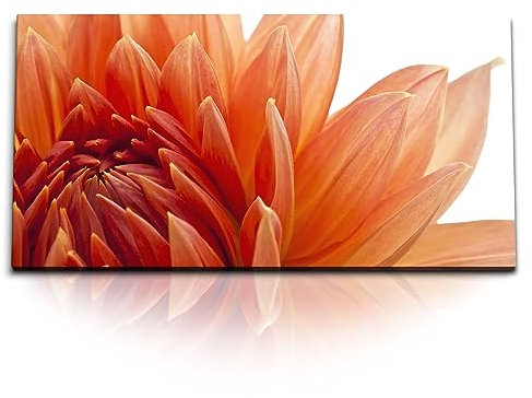 Paul Sinus Kunstdruck Bilder 120x60cm Dahlie Dahlienblüte Rot Blume Nahaufnahme Blumenblüte