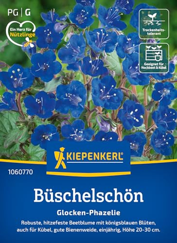 Kiepenkerl Büschelschön Glocken-Phazelie 1060770, Blumensaat | Hitzefeste und einjährige Beetblume mit königsblauen Blüten, Blumenwiese, Höhe 20-30 cm, für Beet & Kübel