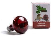 JEKOTRIBE Lampada A Raggi INFRAROSSI per TERRARI E Piccoli Animali 60 Watt