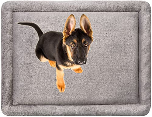 MyBestBuddy Hundekissen Komfort grau 120x80 cm XXL, allergikerfreundlich (100% Polyester), rutschfest - 40°C waschbar mit flauschigem Stoffbezug - Hundematte BZW. Hundebett für sehr große Hunde