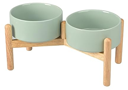 SPUNKYJUNKY Ceramics Erhöhter Hundenapf mit Holzständer, erhöhte Näpfe für kleine und mittelgroße Hunde (doppelt, 813 ml, Hellgrün)