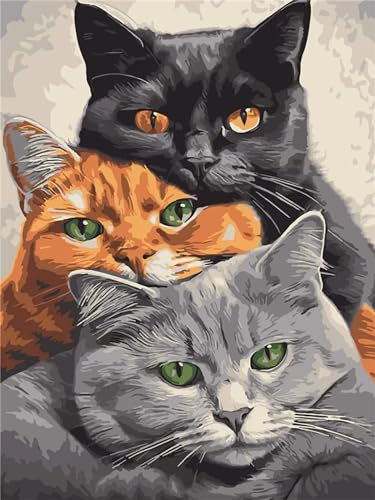 Aimaor Malen Nach Zahlen Erwachsene,Tiere Katzen Paint by Numbers Adult Bastelset Malen-Nach-Zahlen Kinder Anfänger Leinwand Kreativ Set DIY Set Malen nach Zahlen 50x65cm