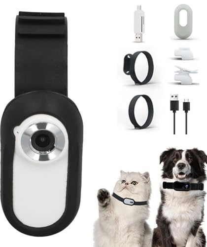 Fabater Katzenhalsband-Kamera, HD-Haustier-Sportkamera, Mini-Action-Körperkamera für Haustiere, Videoaufnahmen, Haustierhalsband-Kamera für Hunde, Katzen, Drinnen/draußen