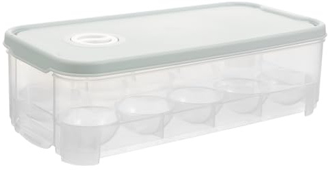 HOLIDYOYO Contenitore per 10 Uova da Frigorifero in Plastica Sicura con Coperchio Robusto, Vassoio Portauova Portatile per Conservazione e Trasporto, Organizer per Frigorifero per Mantenere