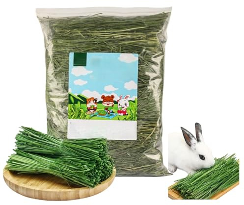 Herbe de Timothée pour Lapins 500g - Nourriture Naturelle et Fraîche pour Rongeurs, Idéale pour Lapins, Cochons d'Inde et Chinchillas, Fourrage de Qualité Supérieure pour Une Digestion Saine