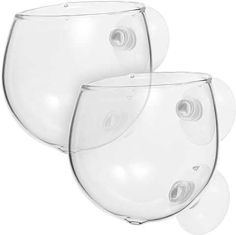 BESPORTBLE 2 St Vattenlevande Odlingskopp Vattenväxtbägare Akvarieväxthållare Glas Sugkopp Akvarie Sugkopp Planter Glas Planteringskruka Växtkrukor För Akvarium