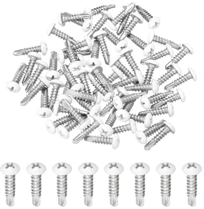 QUARKZMAN 60Pcs M4.2x16mm Vis Autotaraudeuse Tête Cylindrique Épaisse Blanche, Vis Autoperceuses en Acier Inoxydable 410 pour Tôle, Argentées
