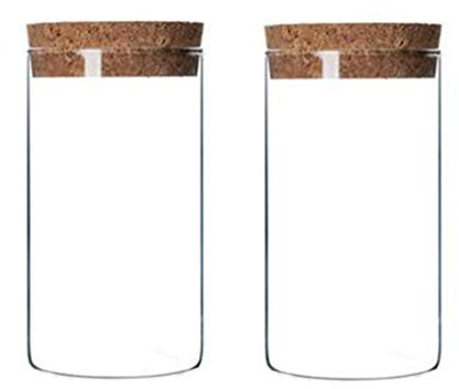 VASANA Set di 2 contenitori da cucina con coperchio in sughero, 300 ml, resistenti, in vetro trasparente, per tè, caffè, fiori, prodotti secchi, dispense