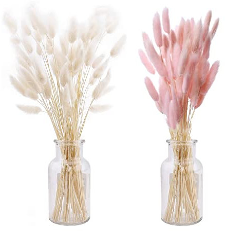 Fiori Secchi Decorativi Ltsbaed 50 Pezzi Erba Della Pampa Essiccata Naturale DIY Erba Coda di Coniglio Bouquet di Pampa Naturale per Composizioni Floreali Matrimonio Decorazione Casa(Rosa+Bianco)