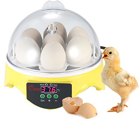 ZJchao Incubateur automatique pour 7 œufs avec contrôle numérique de la température - pour élevage de volailles - Poulet Canard Caille