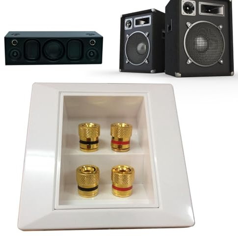 Presa A Muro Per Altoparlante - Piastra A Muro Audio Con Morsetti A Banana | Piastra Da Muro Per Cavi Per Altoparlanti Home Theater, Accessorio Audio Affidabile Ed Elegante Per Sistemi Audio Domestici