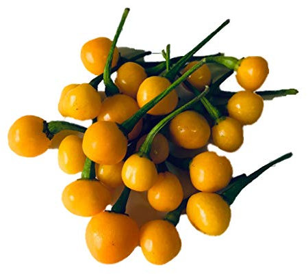 10 Aji Charapita Semillas Pimiento picante, frutescens C