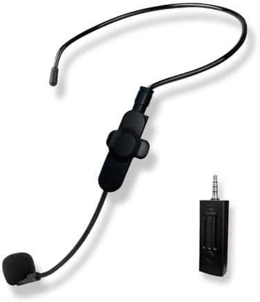 Swiixxer Ensemble de Microphones sans 2,4 G Double Casque sans, Mini Microphone Portable Adapté au Karaoké, Microphone Unique