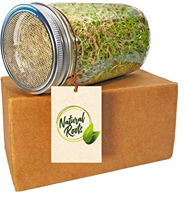 Sprouting Jar with Screen Lid-316 Stainless Steel 100% Rust Free, Wide Mouth Quart Mason Jar Kit Sprouter, Organic Healthy Fresh Broccoli, Alfalfa, Mung Bean Sprouts and more (Seeds not included)