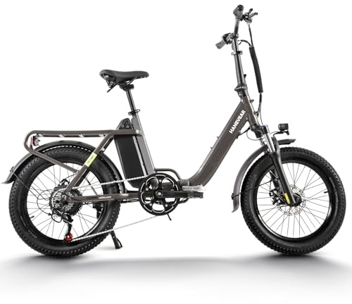 E Bike 20 Zoll mit 𝗗𝗿𝗲𝗵𝗺𝗼𝗺𝗲𝗻𝘁𝘀𝗲𝗻𝘀𝗼𝗿 E Bike Klapprad, 14,5Ah 48V Abnehmbar Akku bis zu 120km+, Elektrofahrrad 55N.m 250W-Motor, StVZO K-MARK, 3.0'' Off-Road-Reifen, E Bike Herren Damen