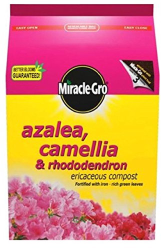 JDS HARDWARE Miracle Gro Camelia, Azalea, Rhodedendrum Compost 8L