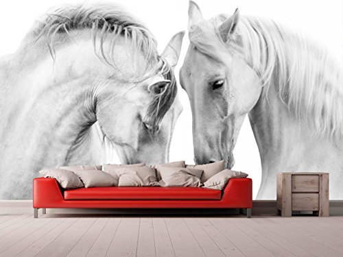 Fotomural Vinilo Para Pared Caballos Blancos | Fotomural para paredes | Mural | Vinilo Decorativo | Varias Medidas 350 x 250 cm | Decoración comedores, salones, habitaciones...