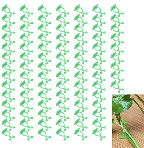 HERCHR Fixation Murale pour Plantes grimpantes, 100 pièces, Clip de Fixation Mural Auto-adhésif pour vignes, Fixation de Branche Auto-adhésive, Clip de Fixation pour pothos, Plantes (Verte)