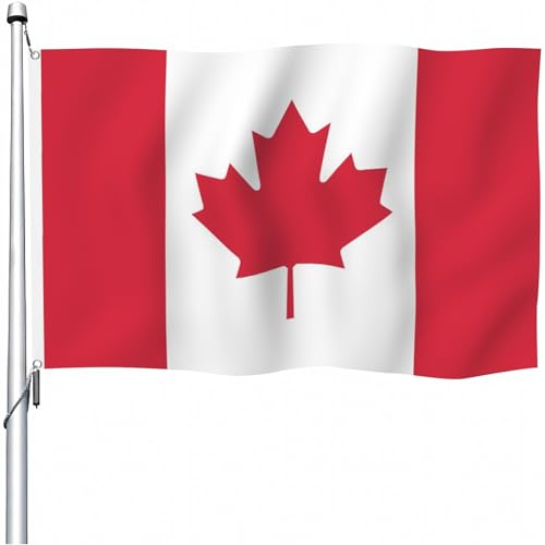 Aoihrraan Drapeau Du Canada 80x120cm Double Face Couleur Érable Feuille Drapeau Extérieur Célébration Porche Décoration Drapeau