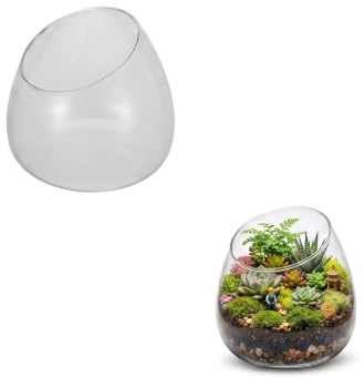 Angoily Slanted Glass Terrarium Bowl - Transparent Plant Container | Weighted Base Anti-Tipping Planter for Succulent Moss, Wide Angled Opening Flower Display Centrepiece, Micro Landscape Jar
