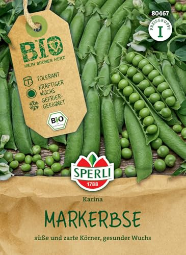 Sperli Markerbse Karina 80467, Gemüsesaat | Tolerant gegen Mehltau, Höhe 20 cm, Standfest