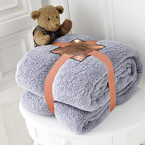 Teddy Fleece Throw Blanket Warm Soft Luxury Cuddly Sofa Bedspread Travel Throw (Grey Silver, King/Large - 200 X 240cm)
