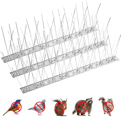 Bynccea Ahuyentador de pájaros de acero inoxidable con púas antipalomas para pájaros, duraderos pinchos para vallas, picos para disuadir a pájaros, anticables, gaviotas y pájaros pequeños