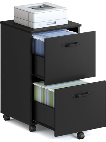 VASAGLE 2-Drawer Filing Cabinet, Mobile File Cabinet for Home Office, Small Rolling Filing Cabinet, Printer Stand, A4, Letter-Size Files, Matte Black CUSTOS Collection OFC040BC01