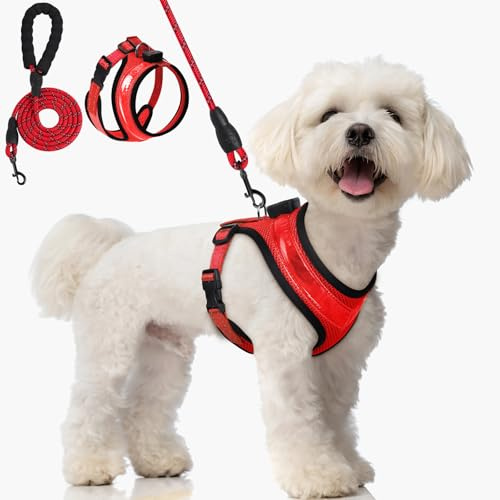 AUAUY Hundegeschirr Leuchtend, Reflektierendes, 1.5M Verstellbar, Rot-XS | Leuchtgeschirr LED Aufladbar, 3 Modus Atmungsaktiv Leucht Geschirr, Hunde Sicherheitswestenlichter, für Nachtspaziergänge