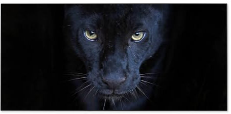 banjado Magnettafel schwarz 78 x 37cm / Magnetwand Metall/Magnetpinnwand als Memoboard/Pinnwand Magnettafel Küche, Büro, Kinderzimmer inkl. 4 Magnete & Montageset - Motiv Nora