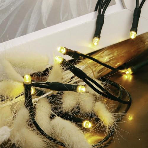 hellum LED Lichterkette innen, Mini Lichterkette 100 LEDs warmweiß, 14,85 m beleuchtet, grünes Kabel, mit Stecker, für Weihnachtsbaum, Tischdeko, Regal, <59 lm, 579345