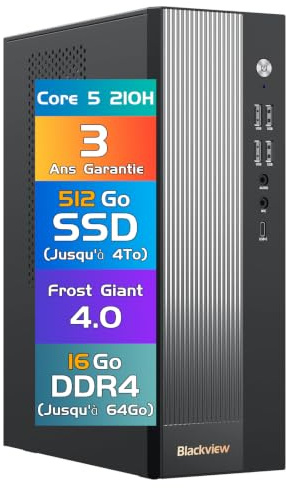 Blackview Silent Business Office Computer NEX60 | 2026 Intel Core 5-210H - 13. Gen| 16GB DDR4 | 512GB SSD | Win 11 Pro Desktop PC| WLAN 6 & Bluetooth 5.2 | USB 3.2 | 3 Jahre Garantie - Startklar