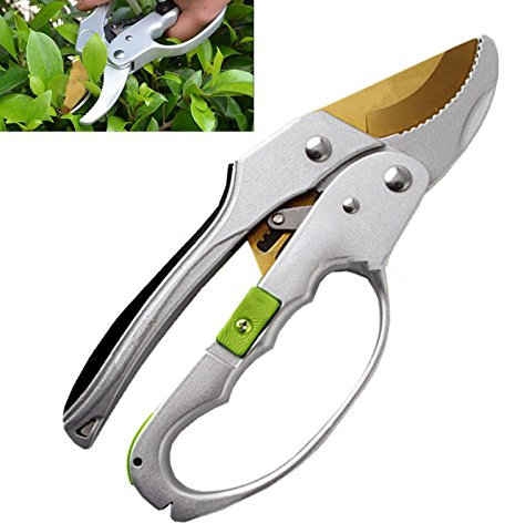 20,3 cm à cliquet Main d'œuvre d'économie d'Ciseaux de jardin solide en alliage d'aluminium Fruits Fleur Branche d'élagage Cisailles Ciseaux