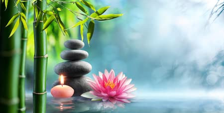 adrium Acryl-Bild 80 x 40 cm: Spa - Natürliche Alternative Therapie mit Massagesteinen und Seerose im Wasser(80863945)