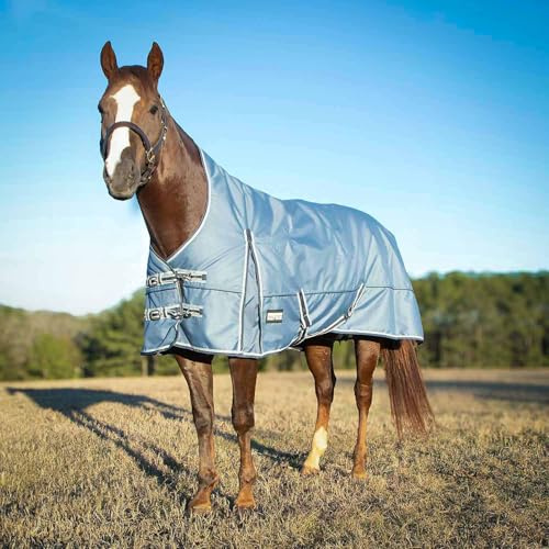 Jeffers Poplar Head Refuge 1200 Denier Turnout Blanket w/High Neck, Hamilton Blue, 66– Waterproof & Breathable Horse Blanket, 240g Insulation, Adjustable Fit for Comfort & Safe Use, Durable Design